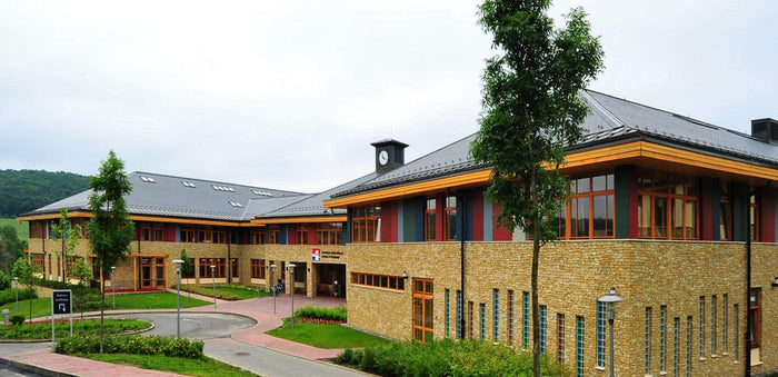 American International School