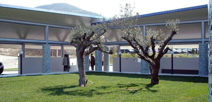 "Chiostro della Pace" Università degli Studi di Salerno