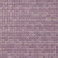 Anthologhia – Ciclamino