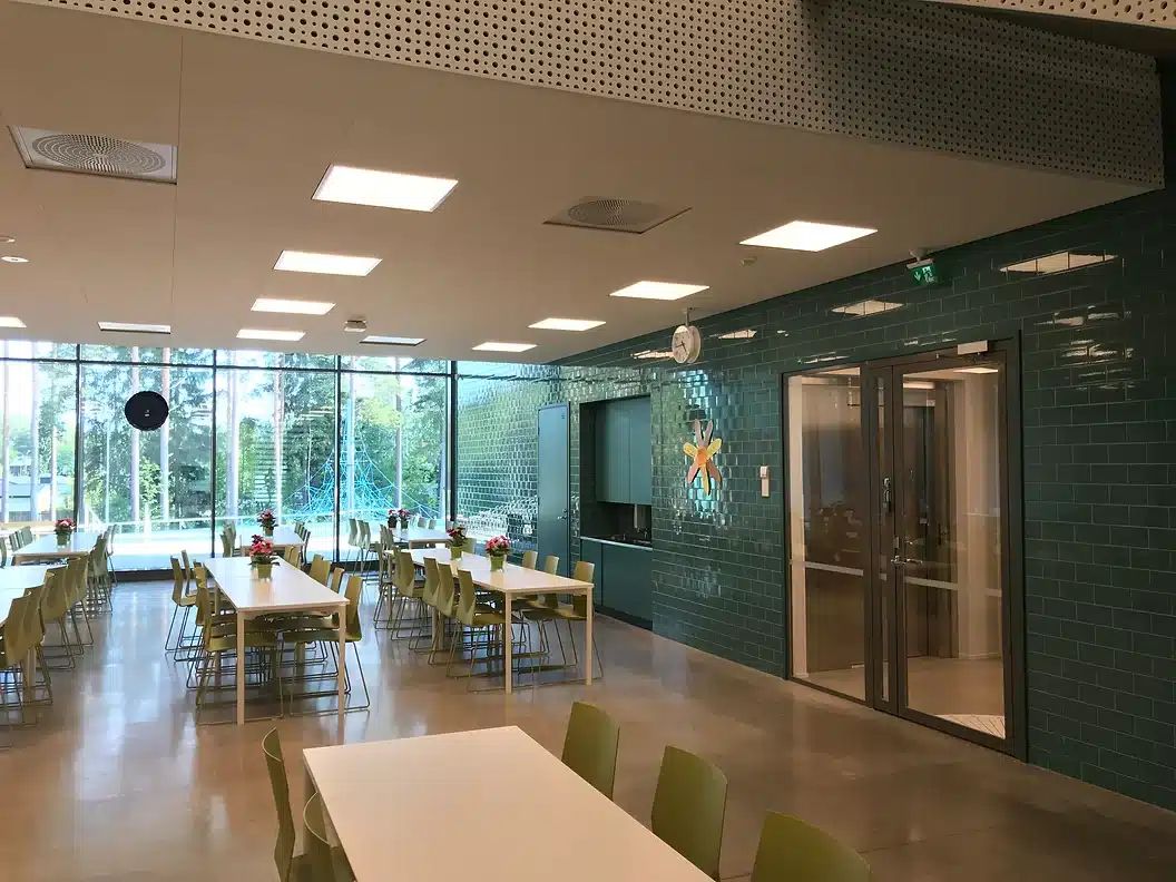 School & University